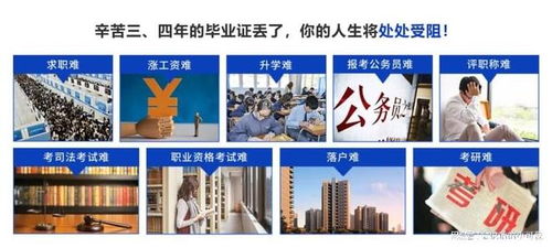 2025年北京檔案存放服務(wù)指南 升職貓全程跟進，助力信息咨詢