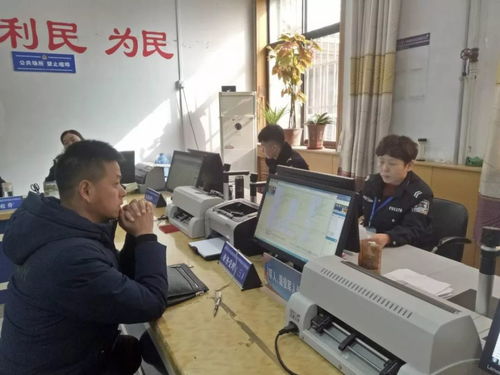 便民利企新舉措 石家莊交管服務(wù)窗口實(shí)行6天工作制，北京信息技術(shù)咨詢服務(wù)同步升級(jí)
